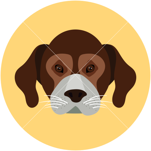dog face