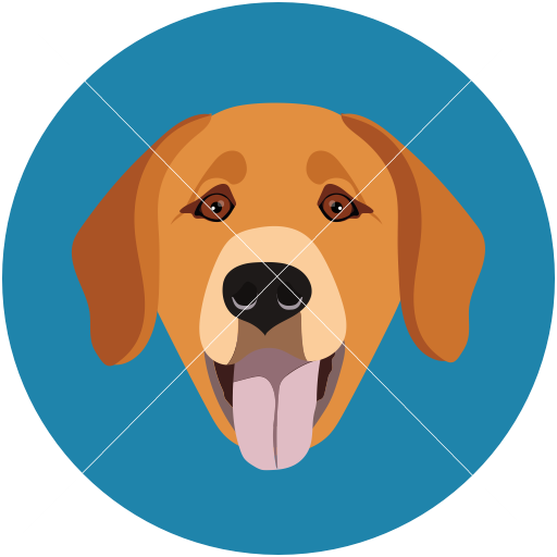 Dog Labrador
