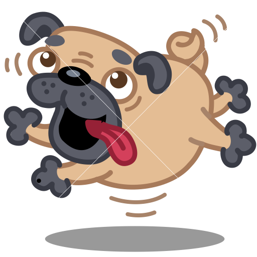 Dog Pug