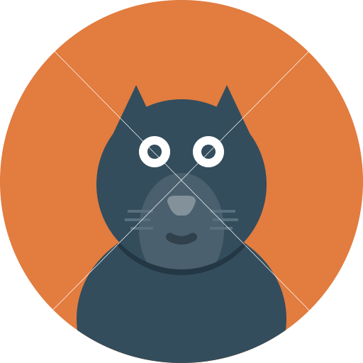 secret cat