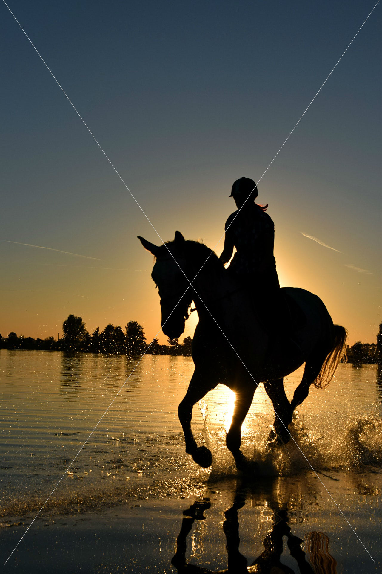 backlit-beach-cavalry-210237-1