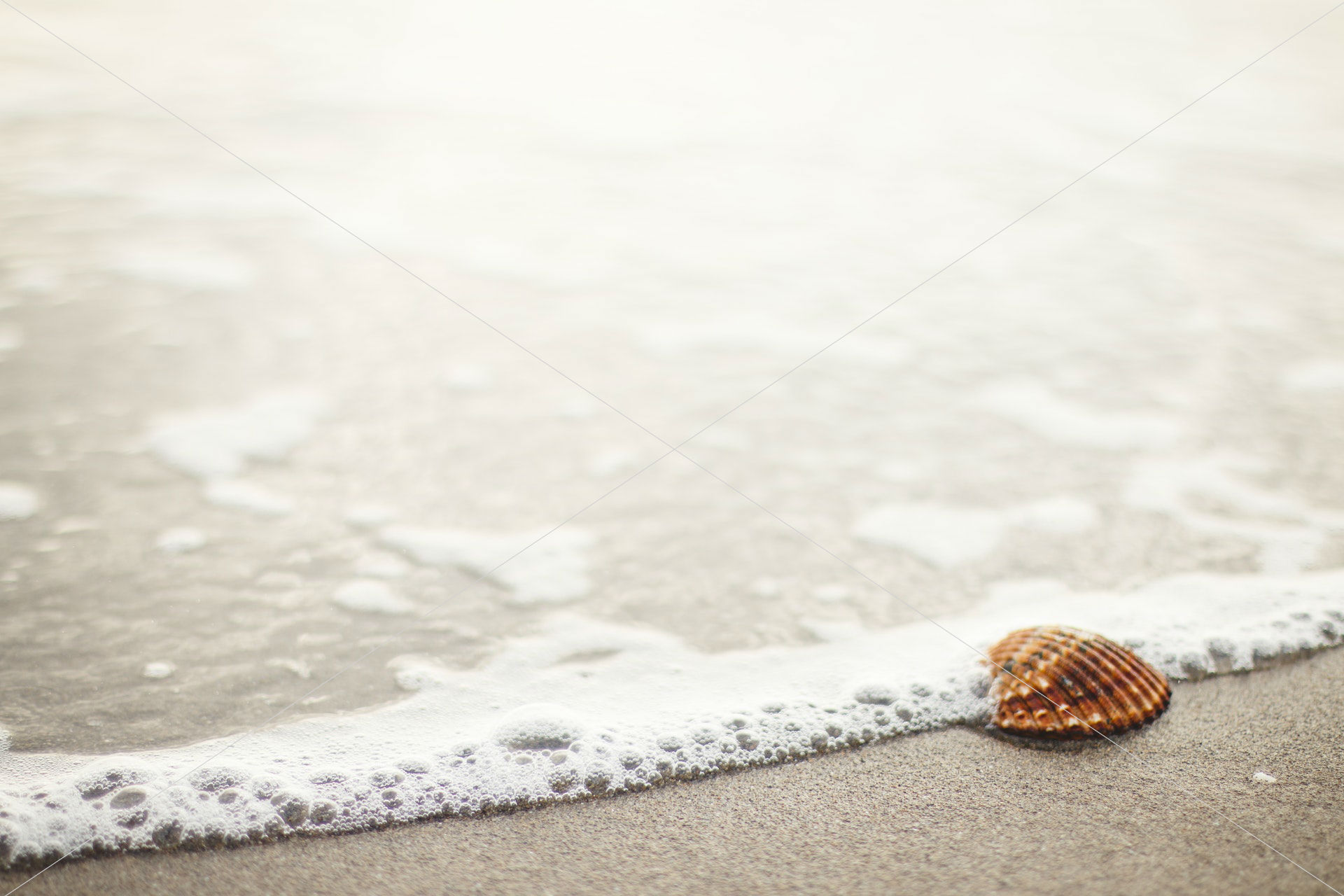 beach-beachlife-salt-water-21859